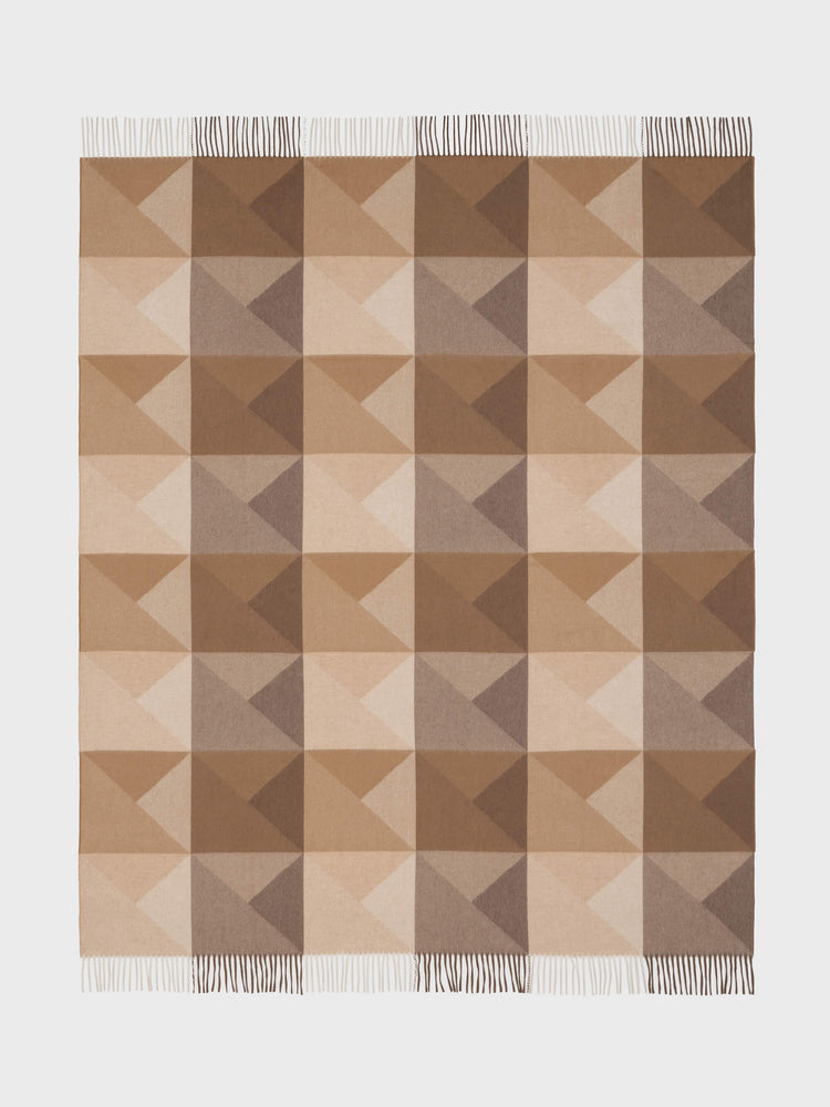Arran Braque
