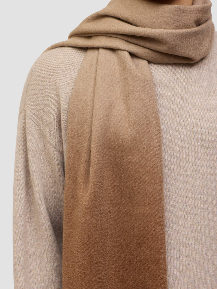 Nuance Ombre 