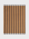 Ombre Stripe