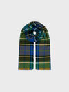 Plaid scarf in green, blue, and yellow on a white background