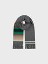 Gray scarf with colorful striped pattern on a light gray background