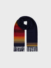 Navy scarf with multicolored striped pattern on a white background