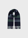 Plaid scarf with fringes on a light gray background
