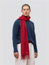 Man wearing a red scarf and blue sweater on a white background