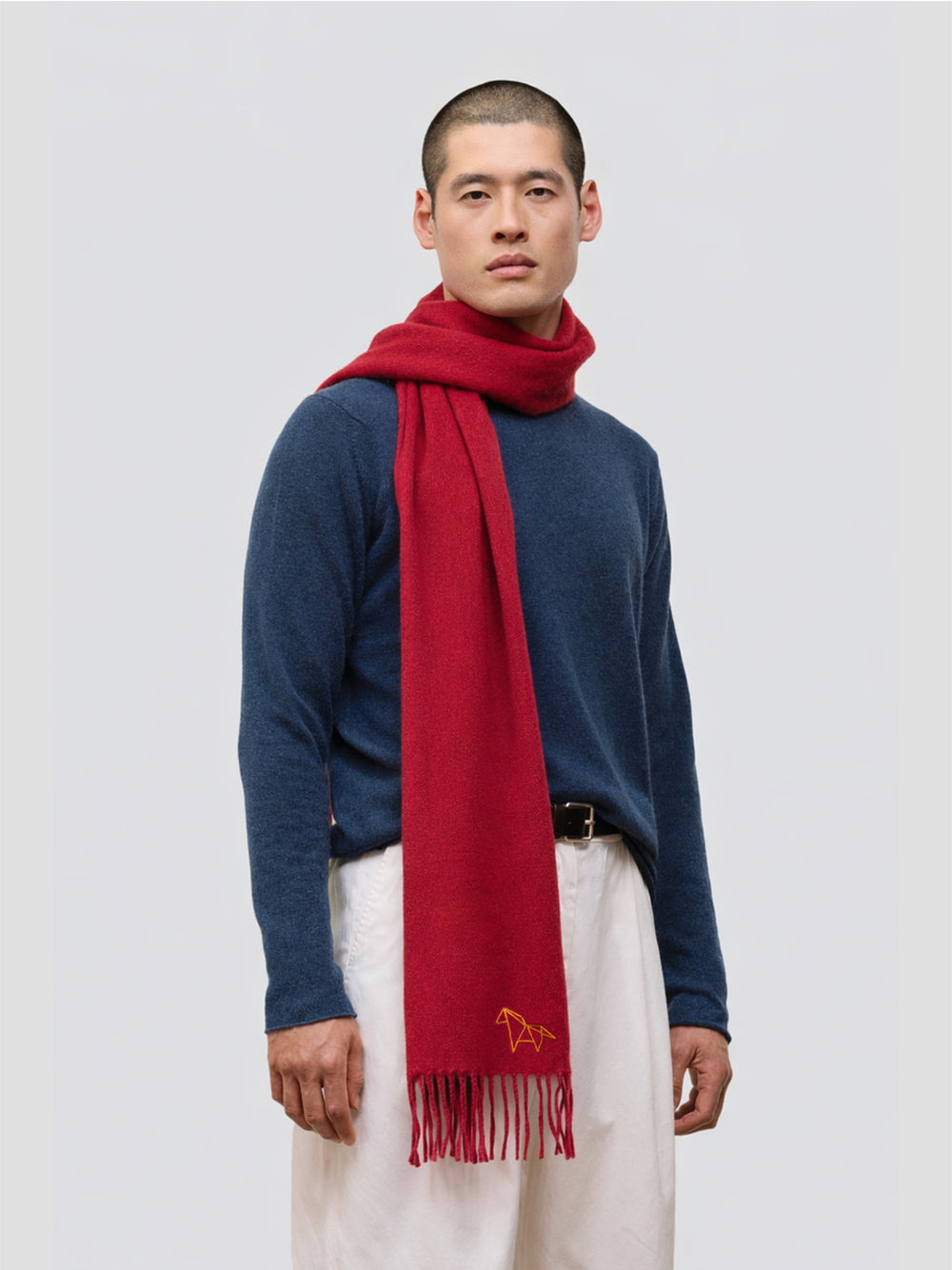 Man wearing a red scarf and blue sweater on a white background
