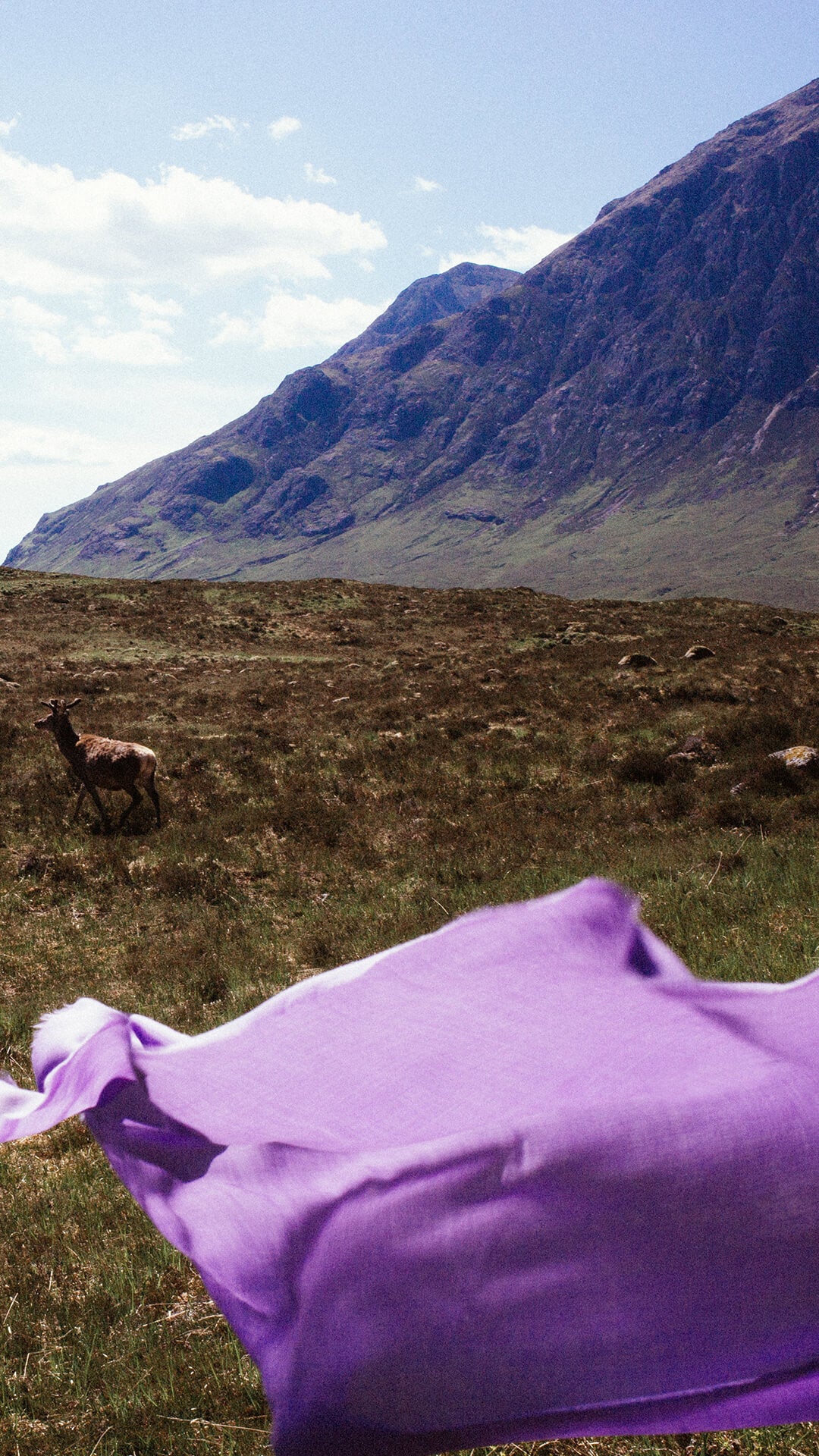Stockists & Flagship Store - Begg x Co