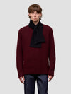 Person wearing a burgundy sweater with a black scarf on a light gray background