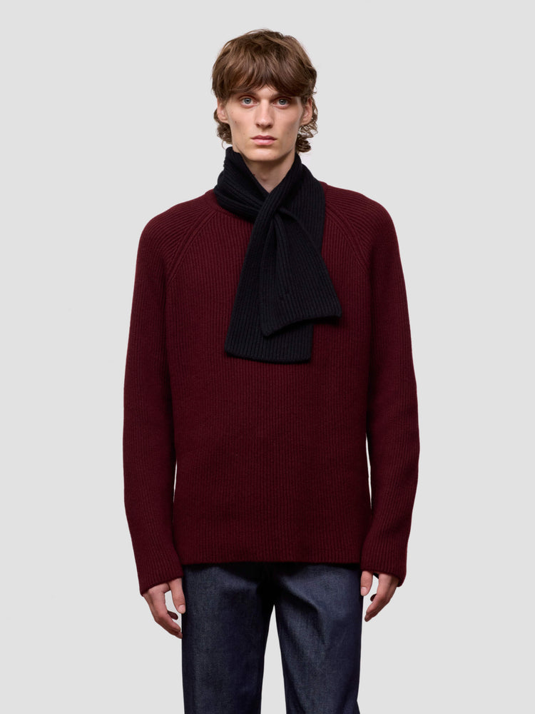 Person wearing a burgundy sweater with a black scarf on a light gray background